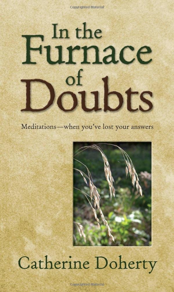 In the Furnace of Doubts,Used