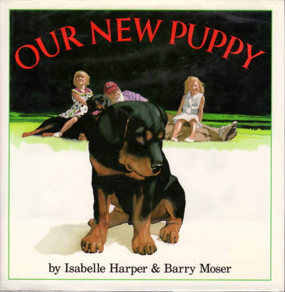 Our New Puppy,Used