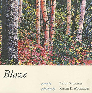 Blaze,Used