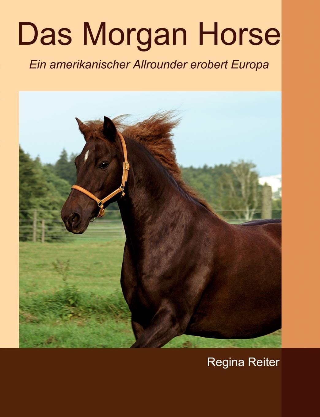 Das Morgan Horse: Ein amerikanischer Allrounder erobert Europa (German Edition),Used