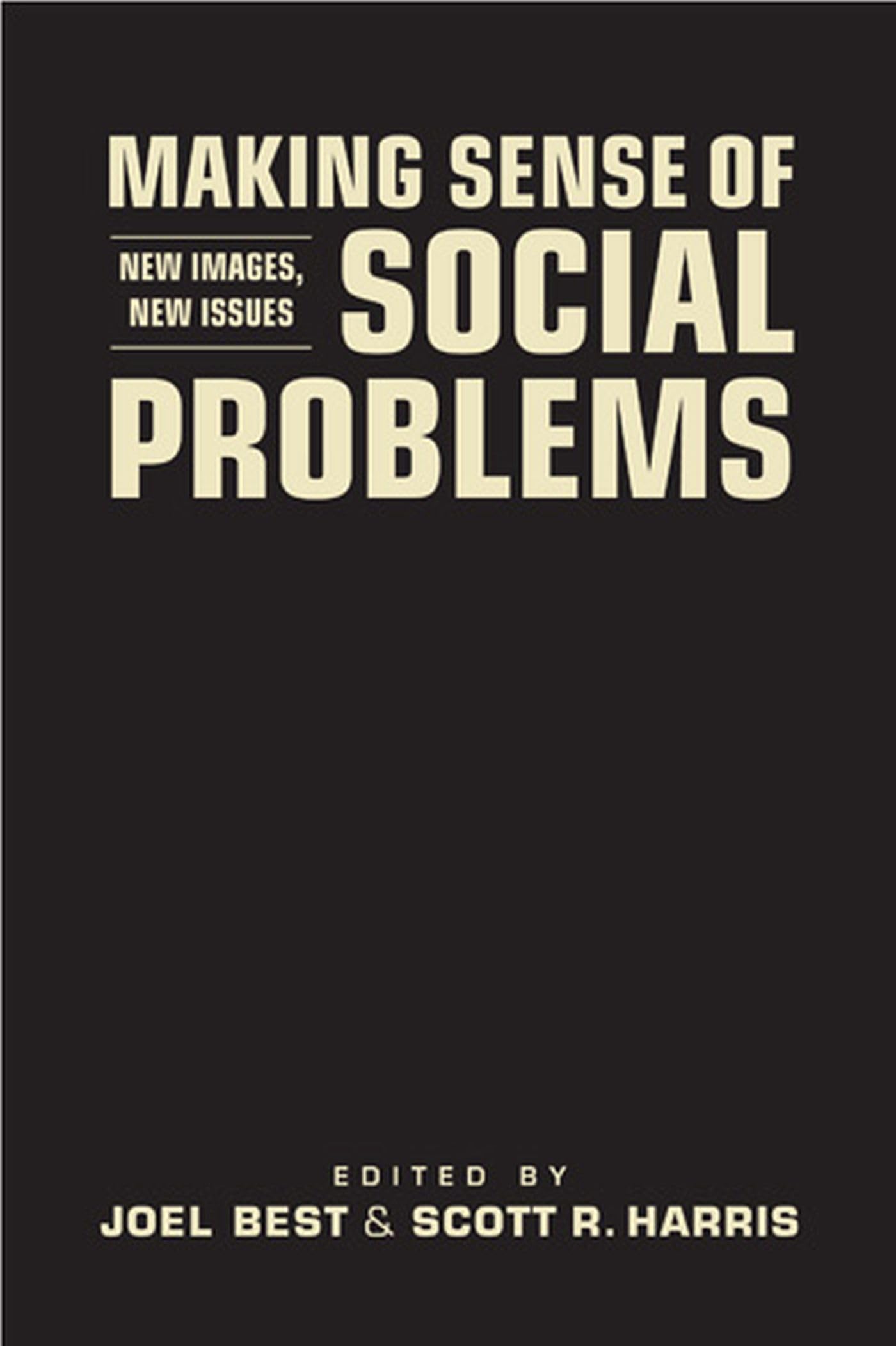 Making Sense of Social Problems: New Images, New Issues (Social Problems, Social Constructions),New