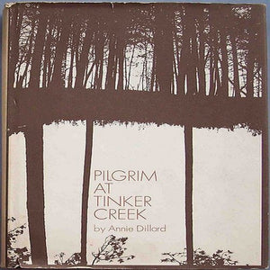 Pilgrim At Tinker Creek