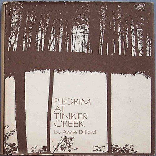 Pilgrim At Tinker Creek