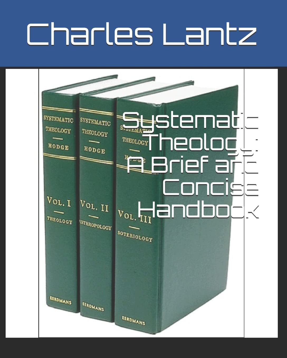 Systematic Theology: A Brief And Concise Handbook,Used