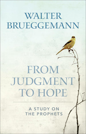 From Judgment to Hope: A Study on the Prophets,Used