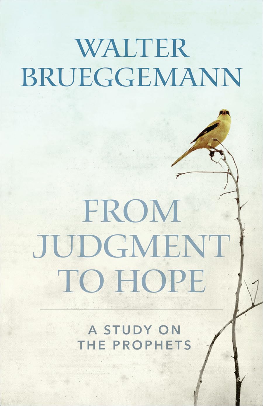 From Judgment to Hope: A Study on the Prophets,Used