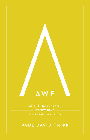 Awe: Why It Matters for Everything We Think, Say, and Do,Used