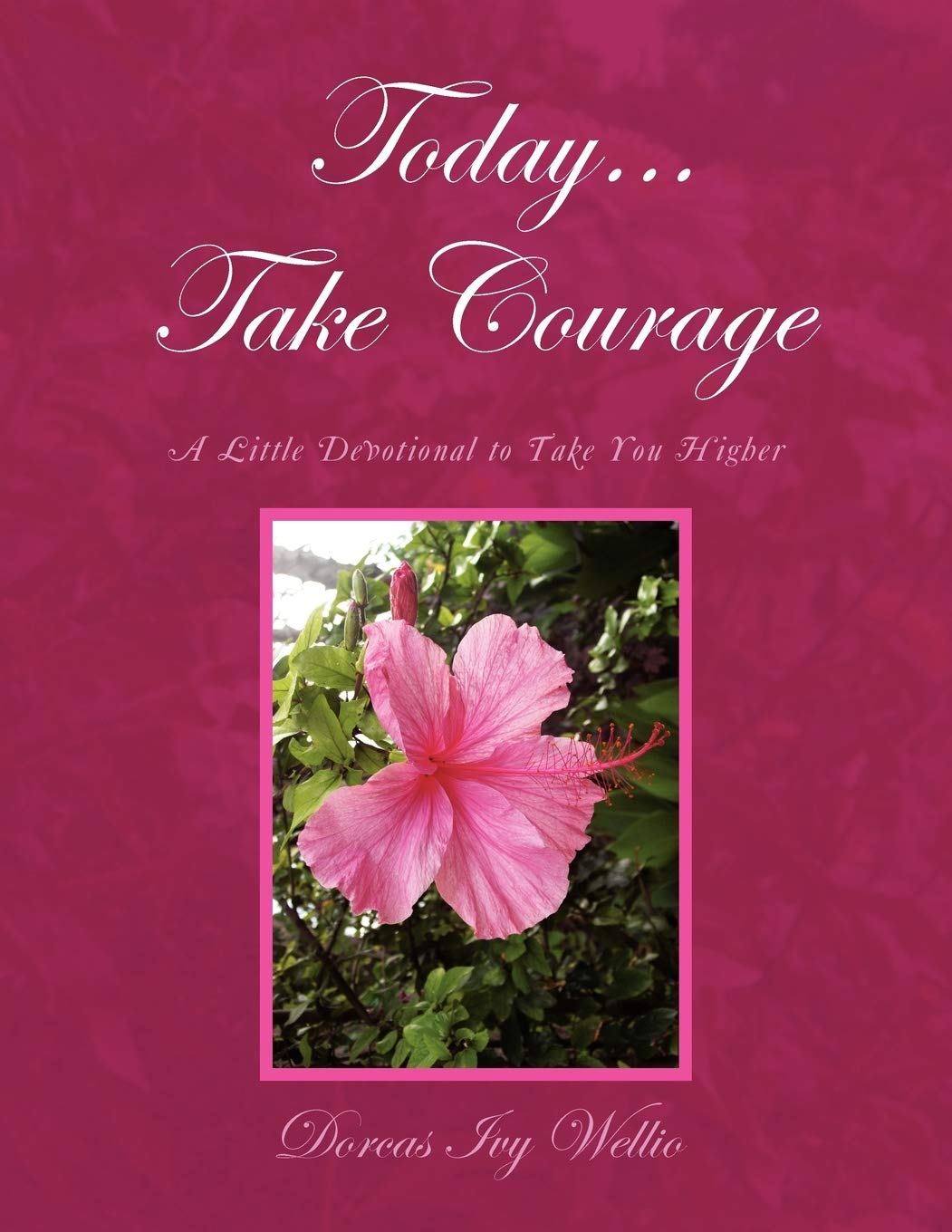 Today... Take Courage: A Little Devotional To Take You Higher,Used