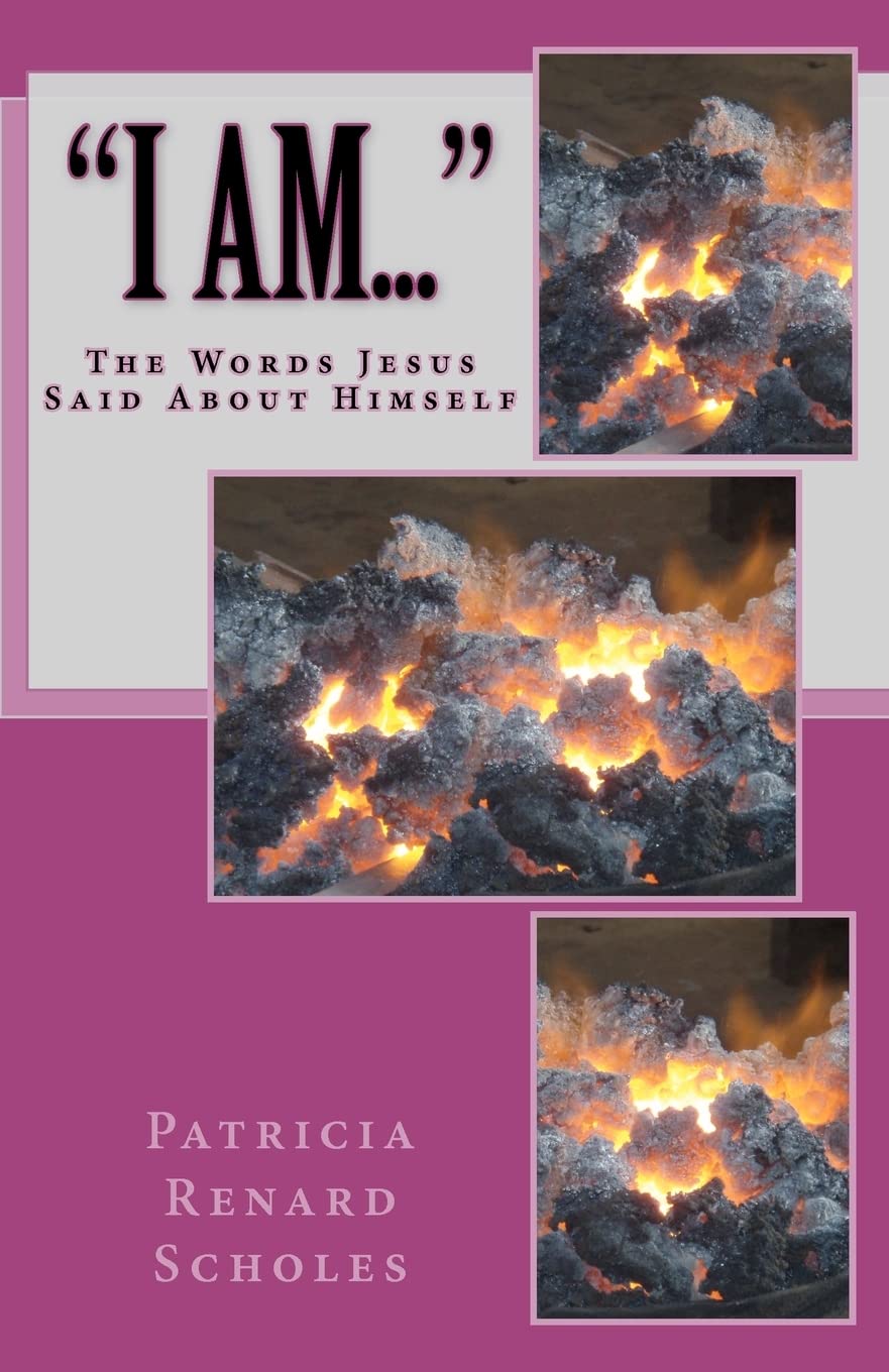I Am: The Words Jesus Said About Himself,Used