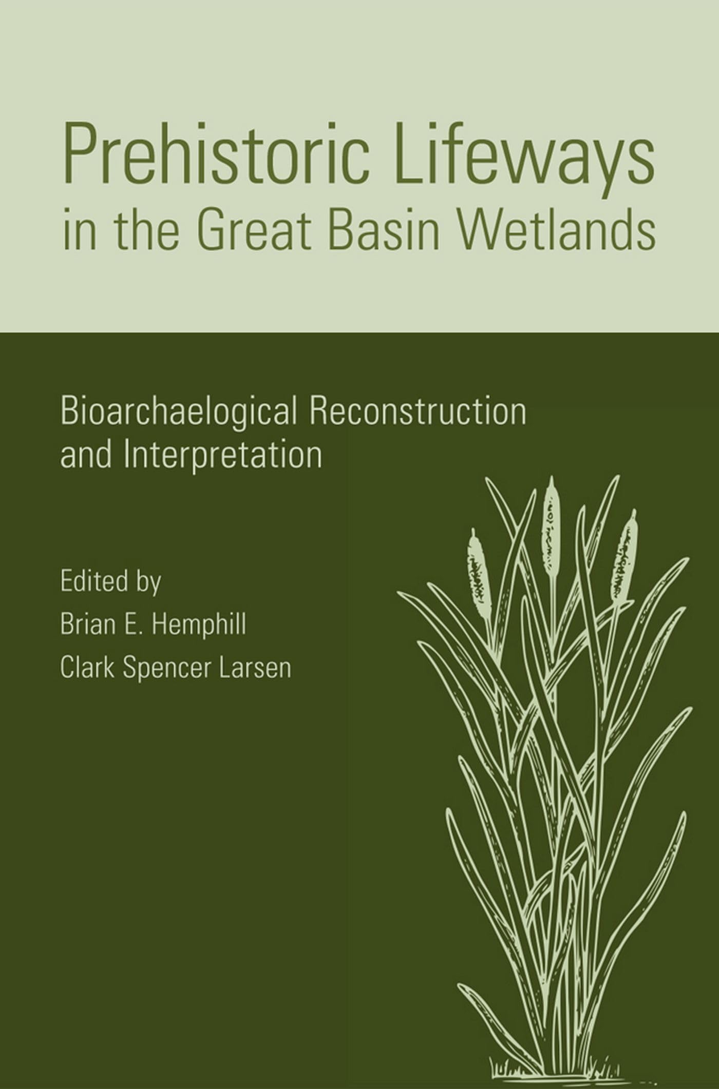 Prehistoric Lifeways In The Great Basin Wetlands: Bioarchaelogical Reconstruction And Interpretation,Used