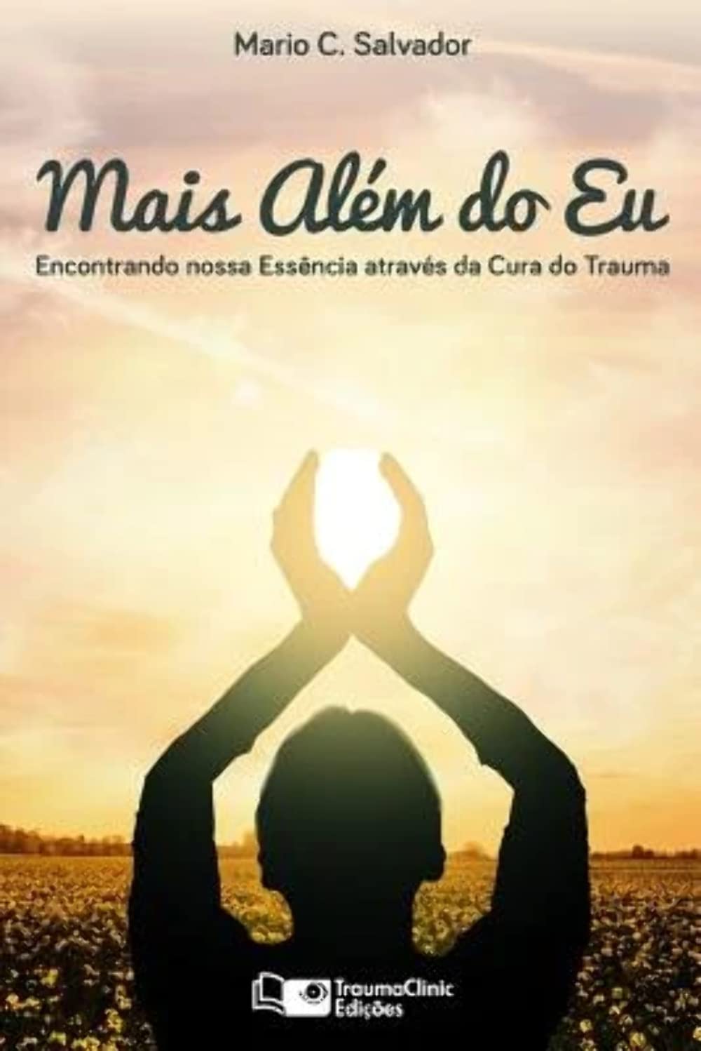 Mais Alm do Eu: Encontrando nossa essncia atravs da cura do trauma (Portuguese Edition),Used