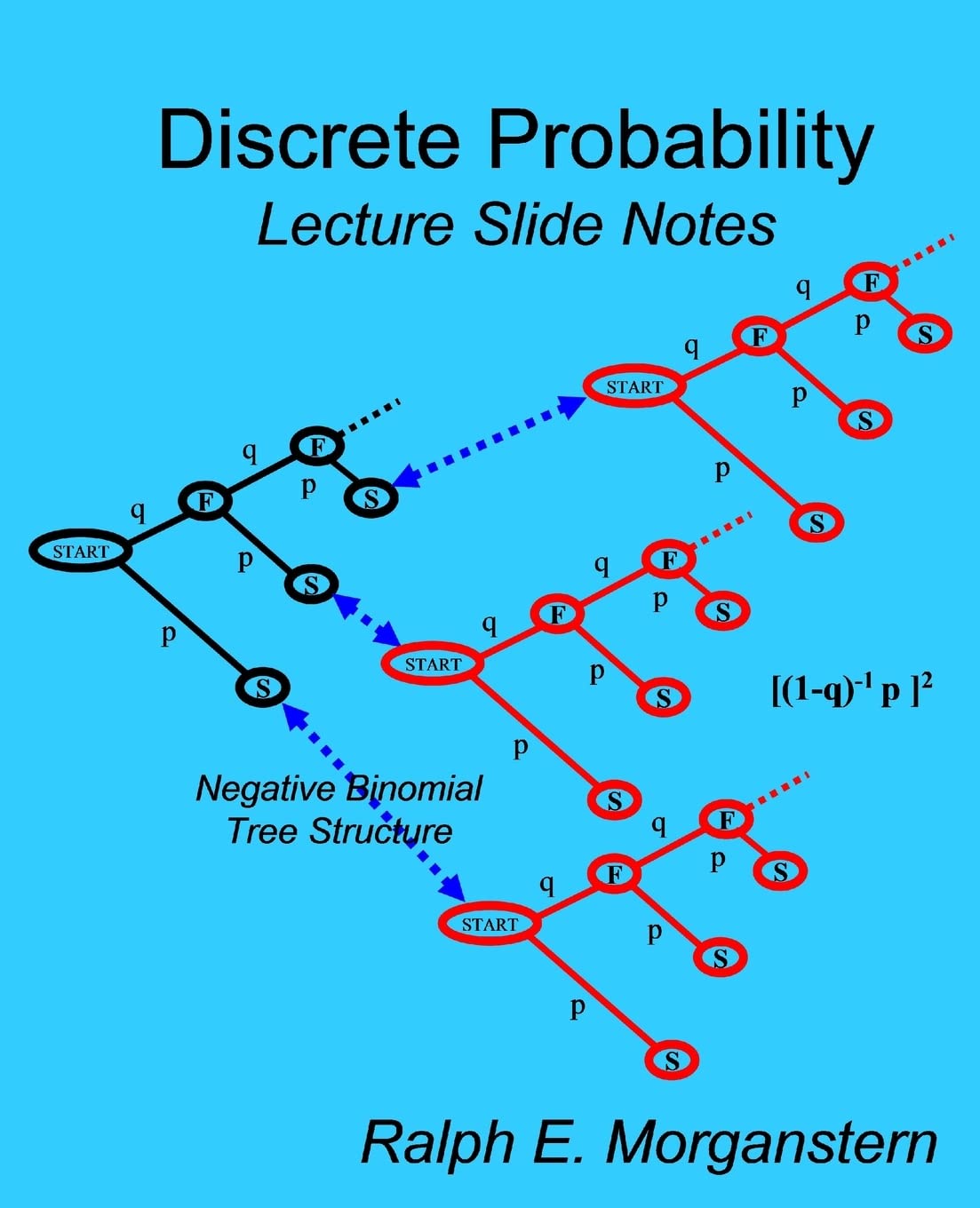 Discrete Probability: Lecture Slide Notes,Used