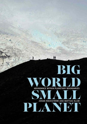 Big World, Small Planet: Abundance within Planetary Boundaries-Used Condition