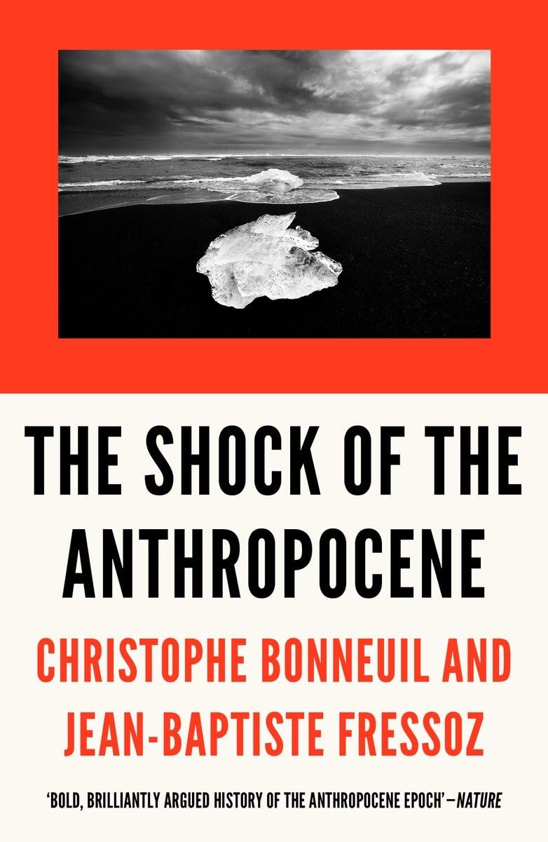 The Shock of the Anthropocene: The Earth, History and Us,Used