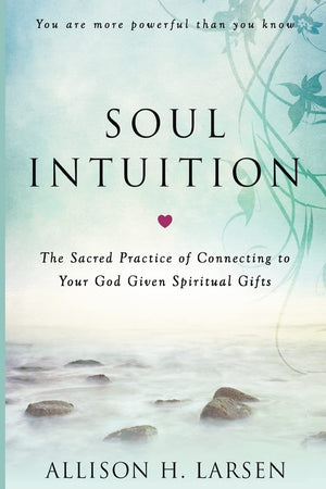 Soul Intuition: The Sacred Practice of Connecting to Your God Given Spiritual Gifts,Used