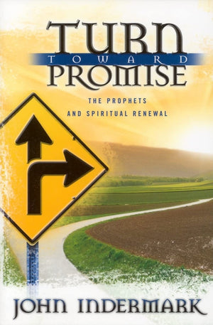 Turn Toward Promise: The Prophets and Spiritual Renewal,Used