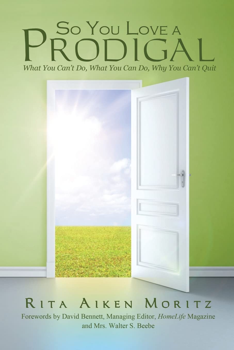 So You Love a Prodigal: What You Can't Do, What You Can Do, Why You Can't Quit,Used