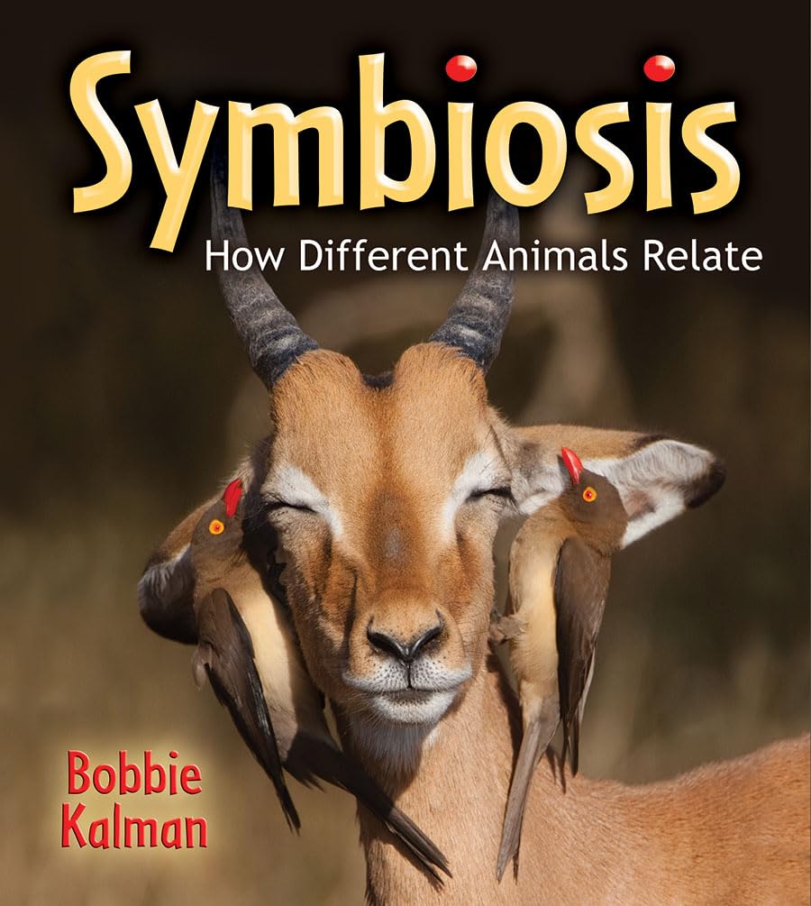 Symbiosis: How Different Animals Relate (Big Science Ideas),Used