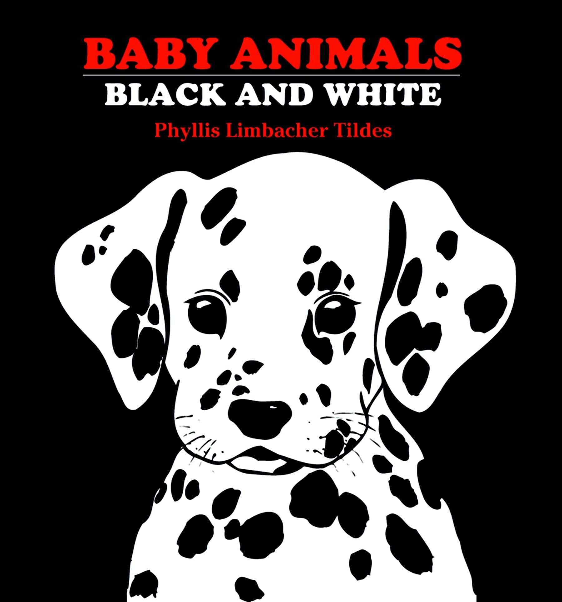 Baby Animals Black and White,Used
