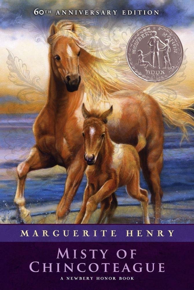 Misty of Chincoteague,Used