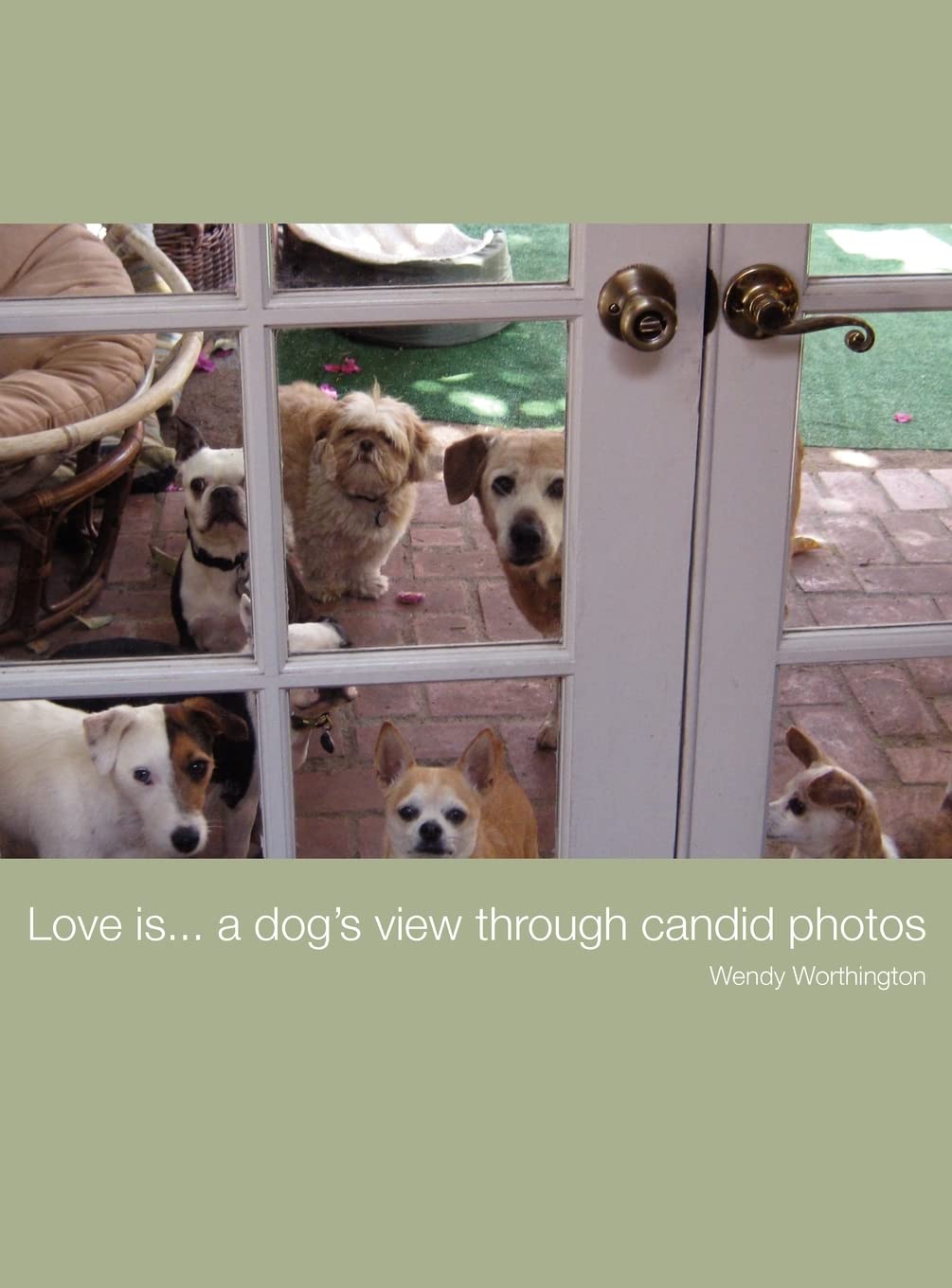 Love is...a dog's view through candid photos,Used