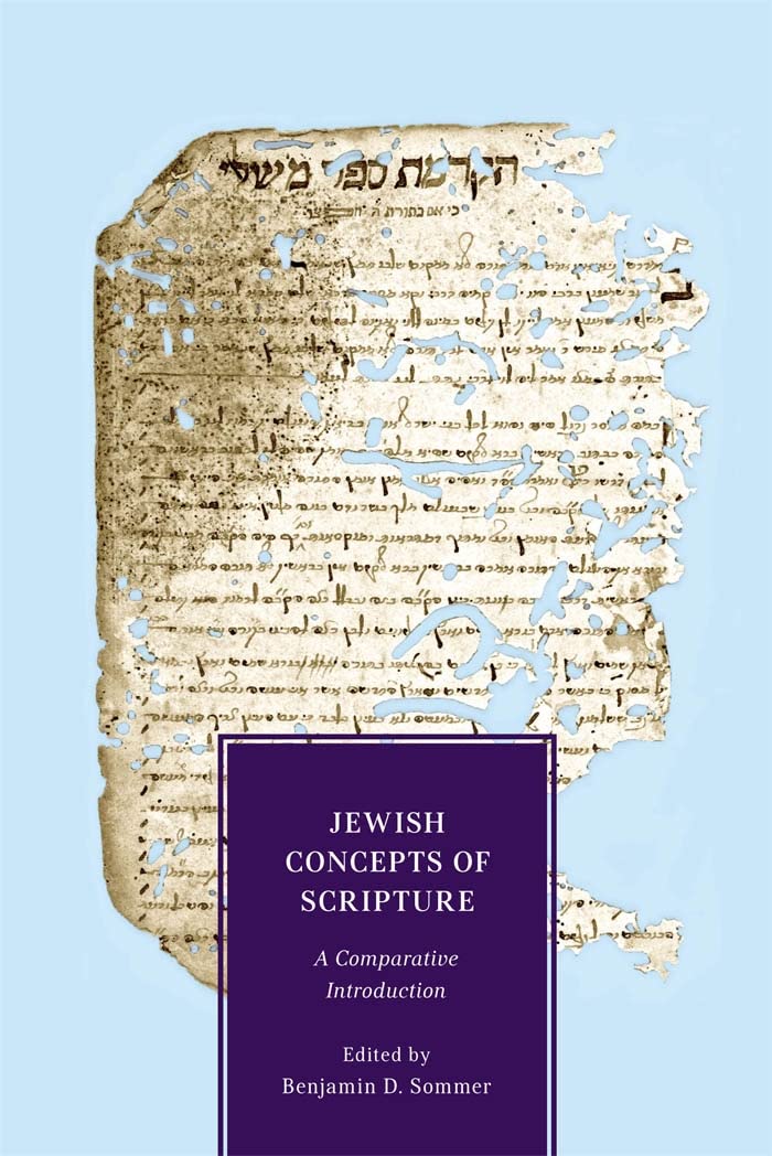 Jewish Concepts of Scripture: A Comparative Introduction,Used
