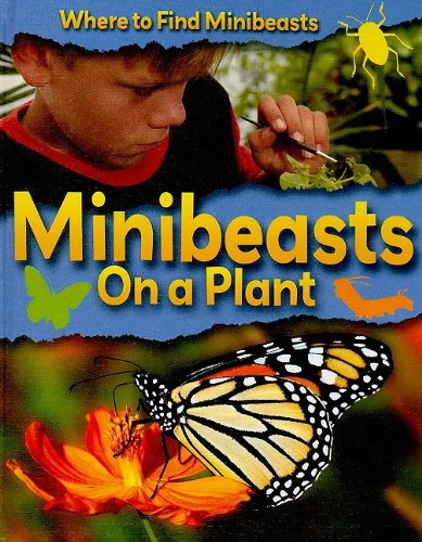 Minibeasts on a Plant (Where to Find Minibeasts),Used