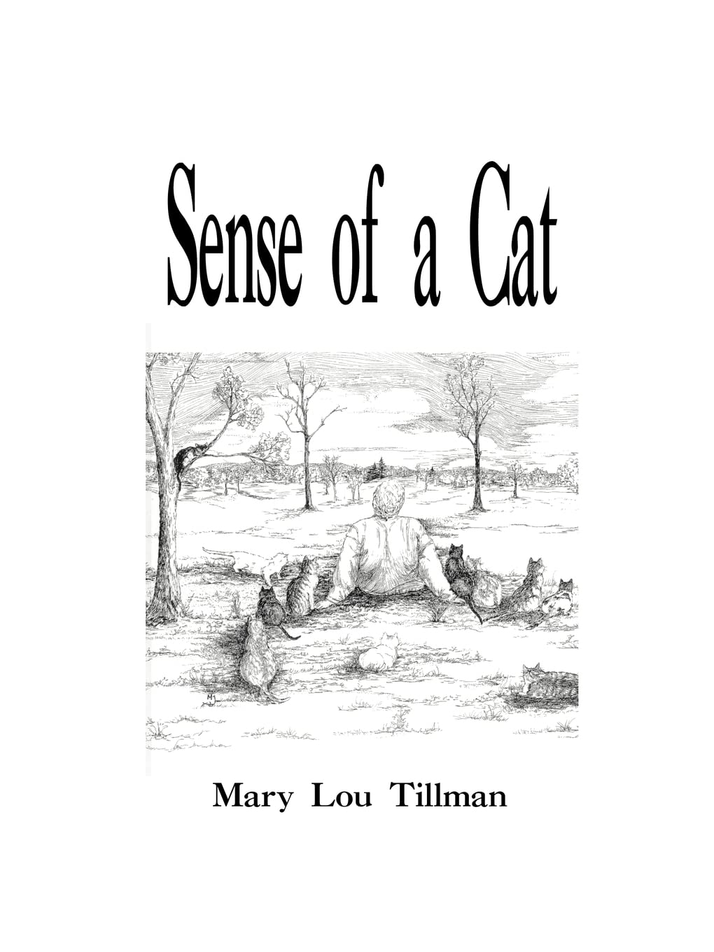 Sense of a Cat,Used