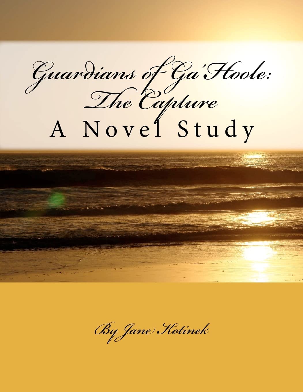 Guardians Of Ga'Hoole: The Capture: A Novel Study,Used