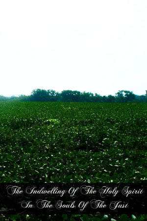 The Indwelling Of The Holy Spirit In The Souls Of The Just: According To The Teaching Of St. Thomas Aquinas,Used