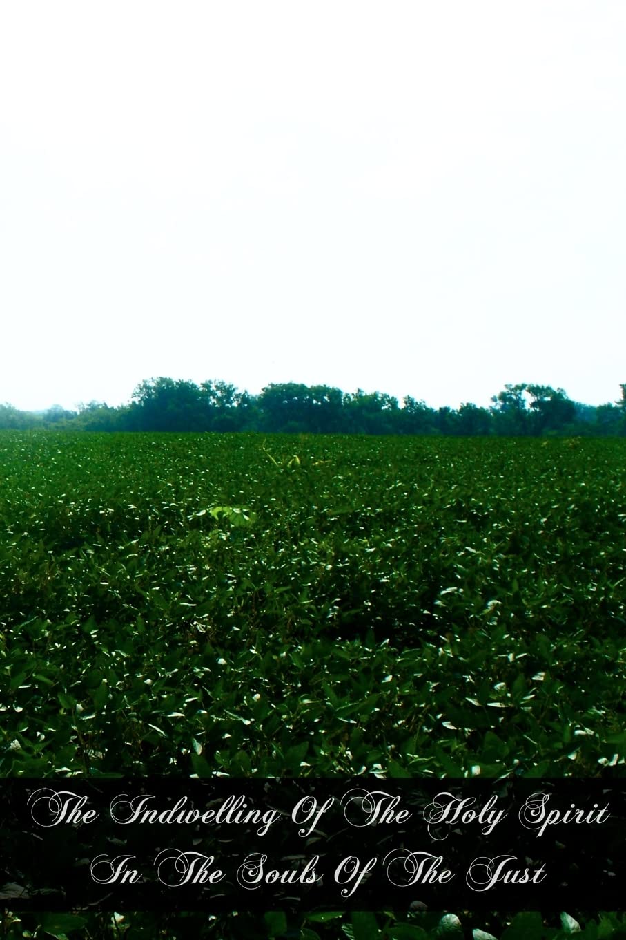 The Indwelling Of The Holy Spirit In The Souls Of The Just: According To The Teaching Of St. Thomas Aquinas,Used