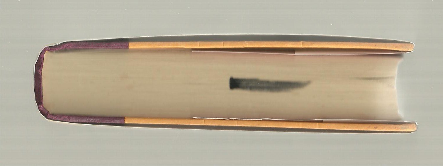 Dogs Of Summer: A Novel-new