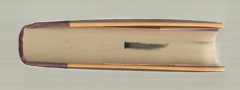 Dogs Of Summer: A Novel-new