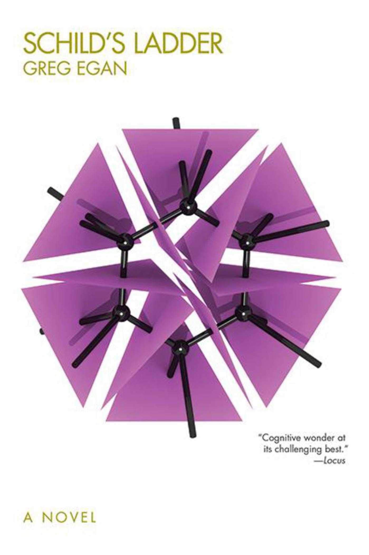 Schild'S Ladder: A Novel