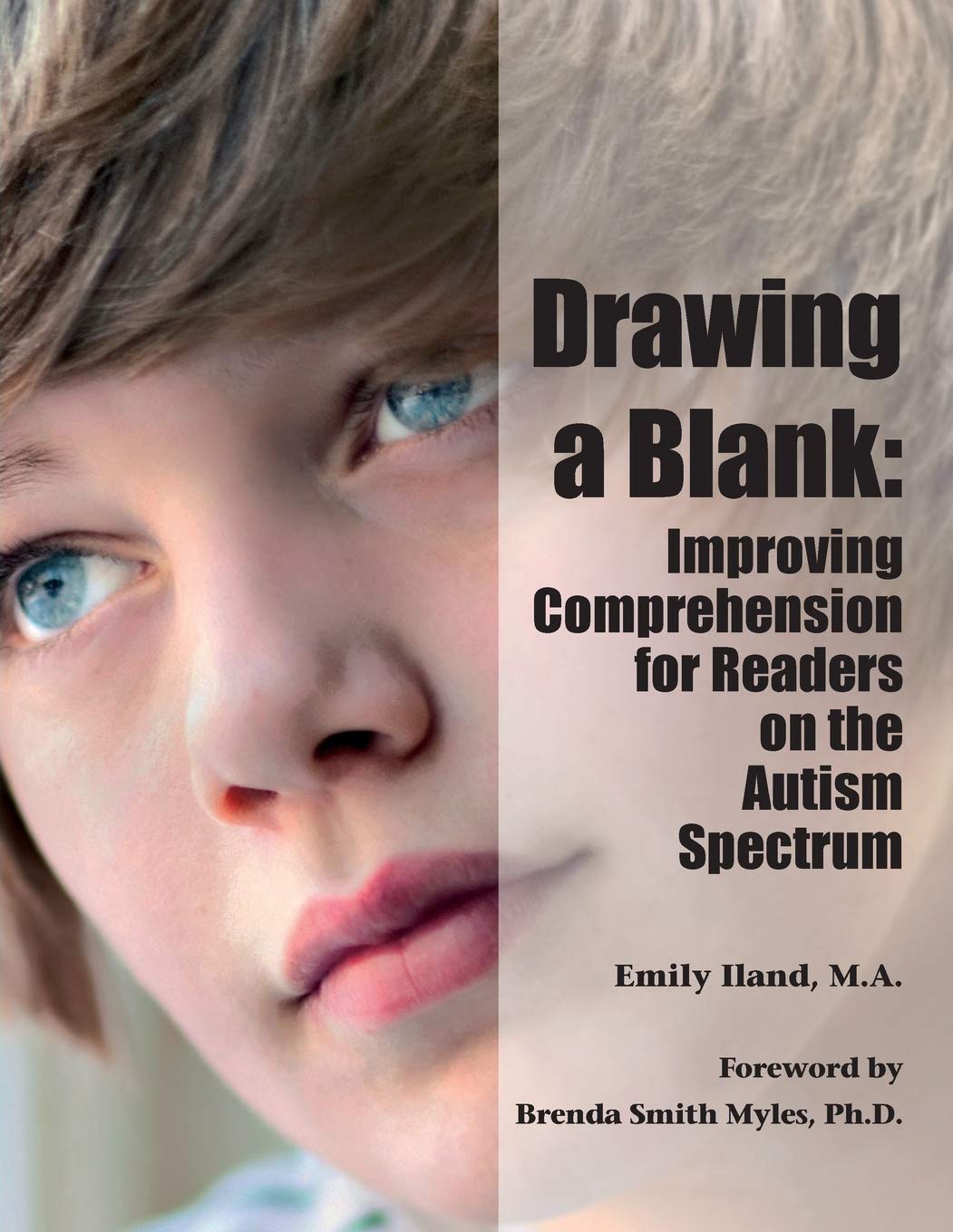 Drawing a Blank: Improving Comprehension for Readers on the Autism Spectrum,Used
