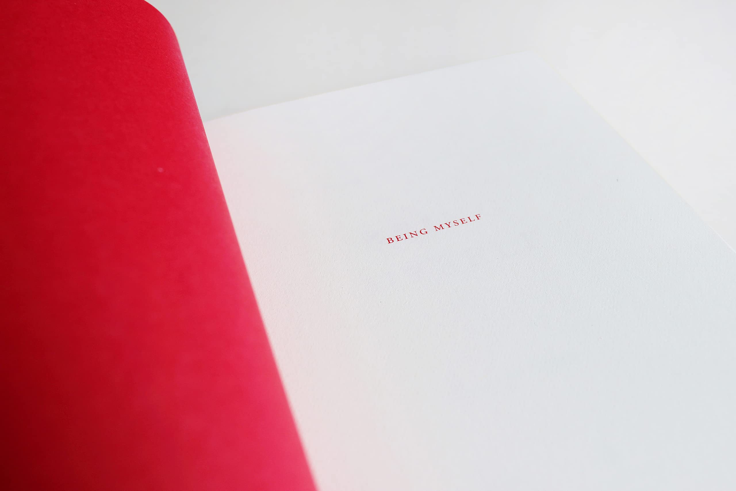 Living on the Earth: Celebrations, Storm Warnings, Formulas, Recipes, Rumors, and Country Dances Harvested by Alicia Bay Laurel.,Used