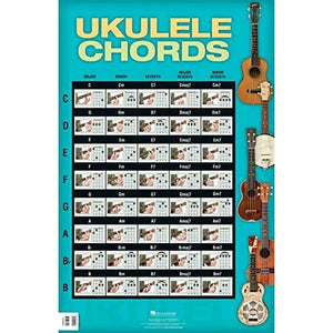 Ukulele Chords  Poster 22 X34,Used