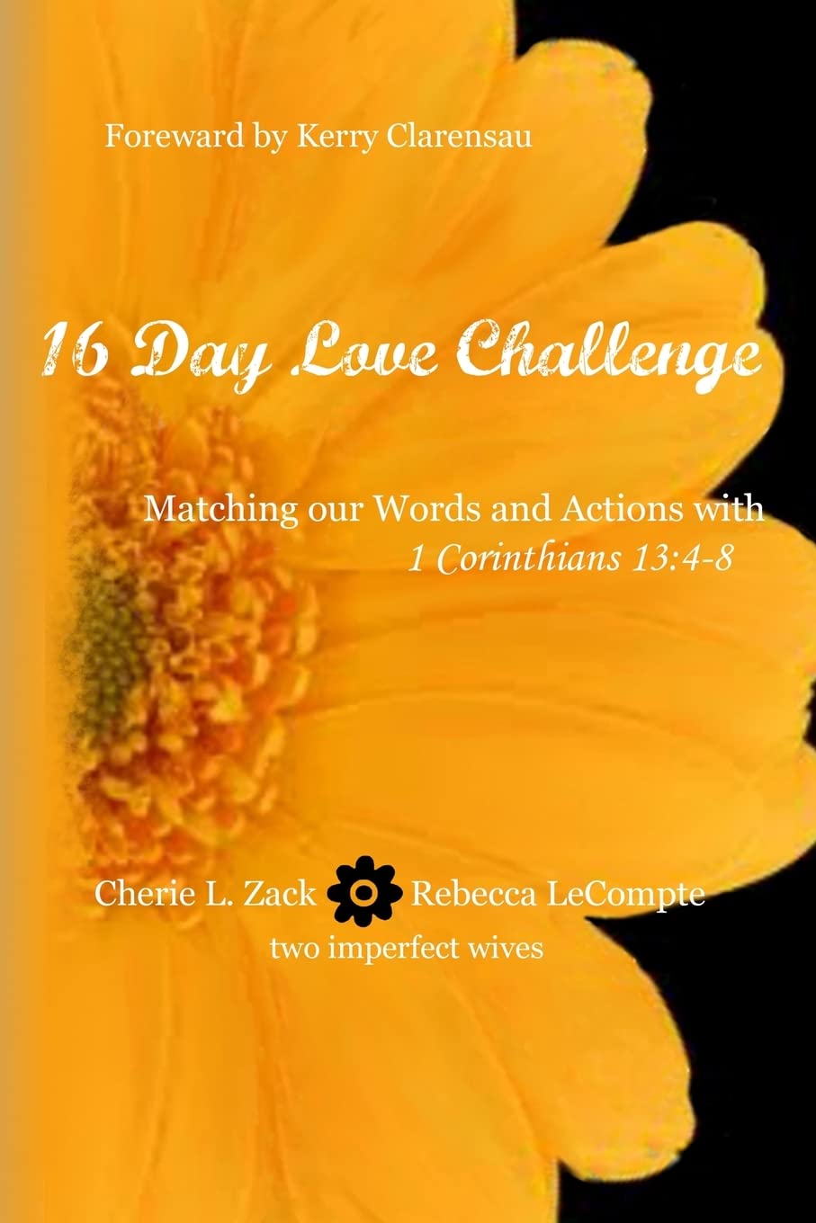 16 Day Love Challenge: Matching our Words and Actions with 1 Corinthians 13:48,Used