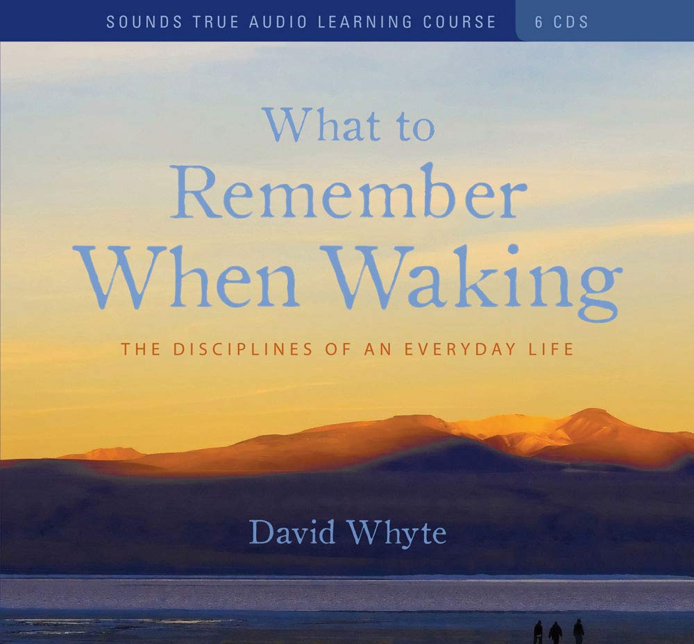 What to Remember When Waking: The Disciplines of an Everyday Life,Used