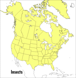A Peterson Field Guide To Insects: America North Of Mexico (Peterson Field Guides),New