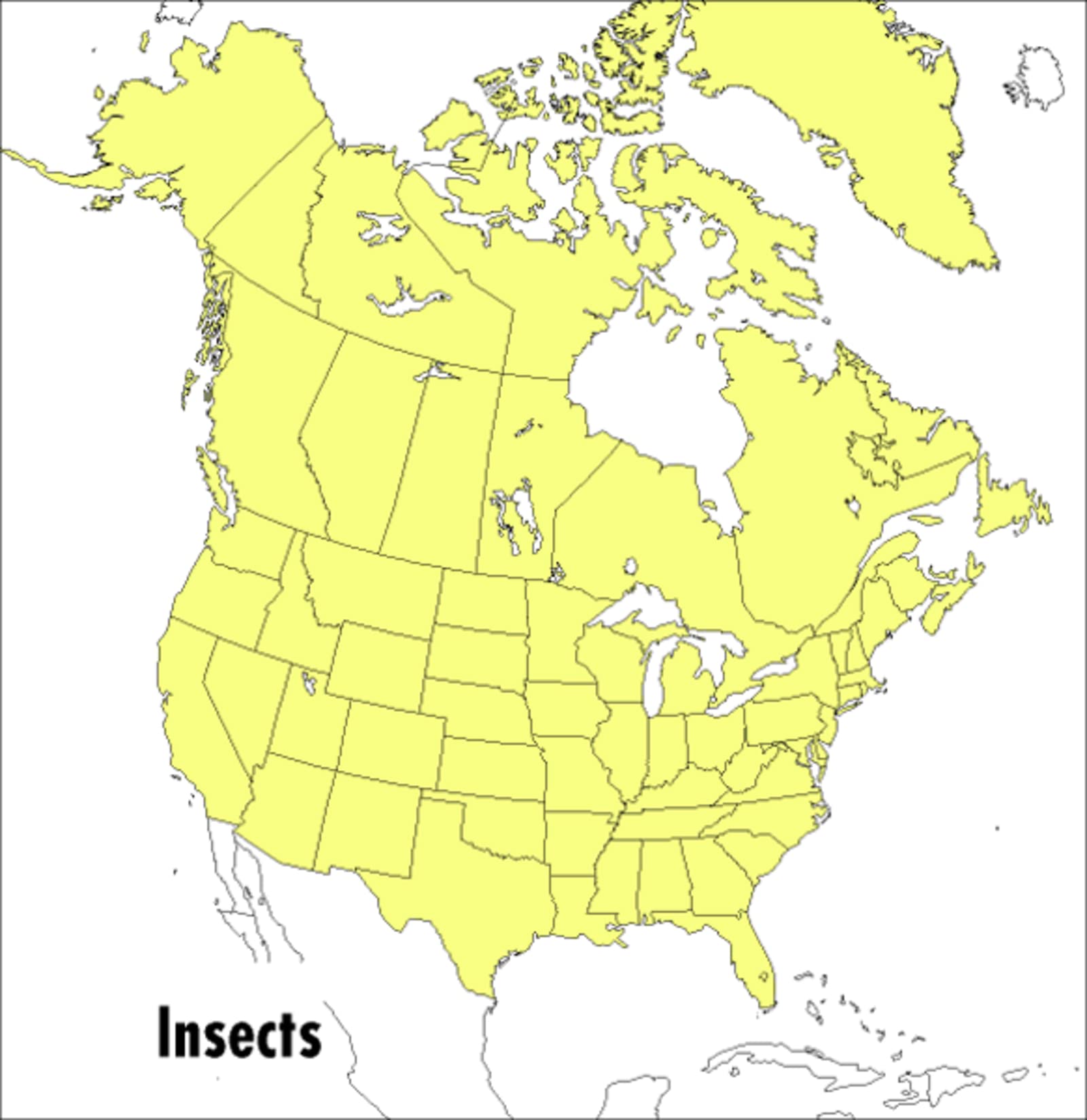 A Peterson Field Guide To Insects: America North of Mexico (Peterson Field Guides),Used