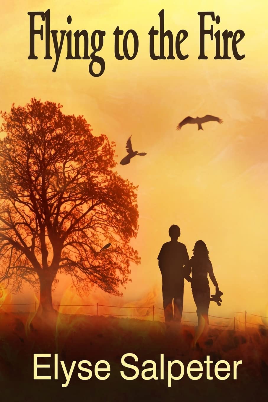 Flying to the Fire (The Flying Series),Used