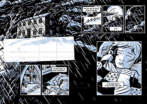 Una arruga en el tiempo (Novela grfica) / A Wrinkle in Time: The Graphic Novel (Spanish Edition),Used