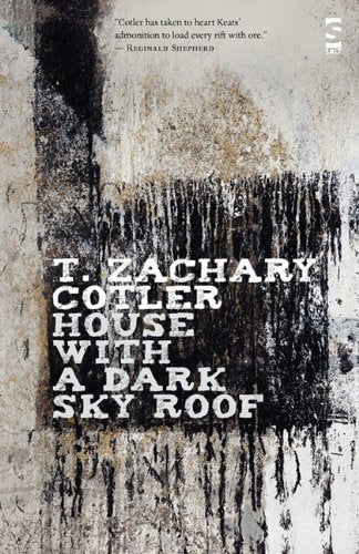 House with a Dark Sky Roof