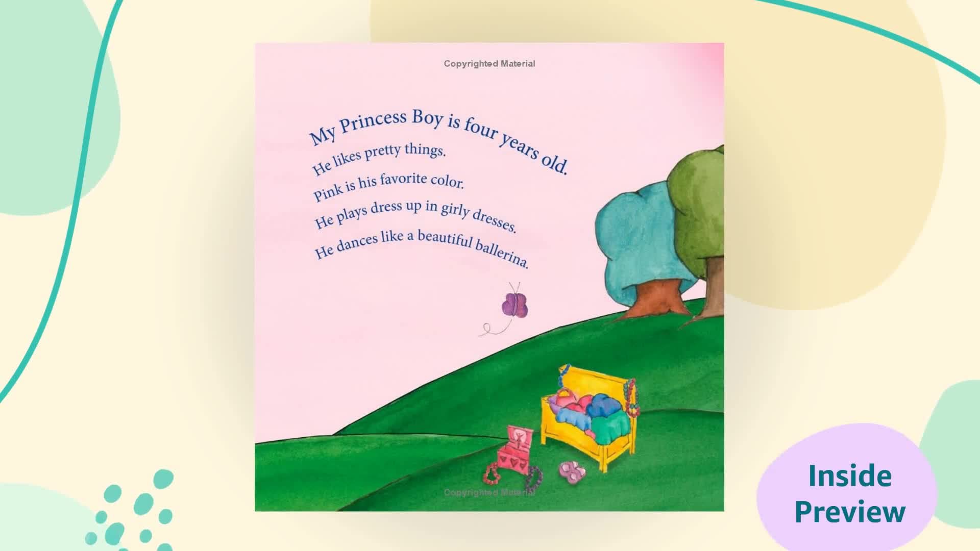 My Princess Boy,Used