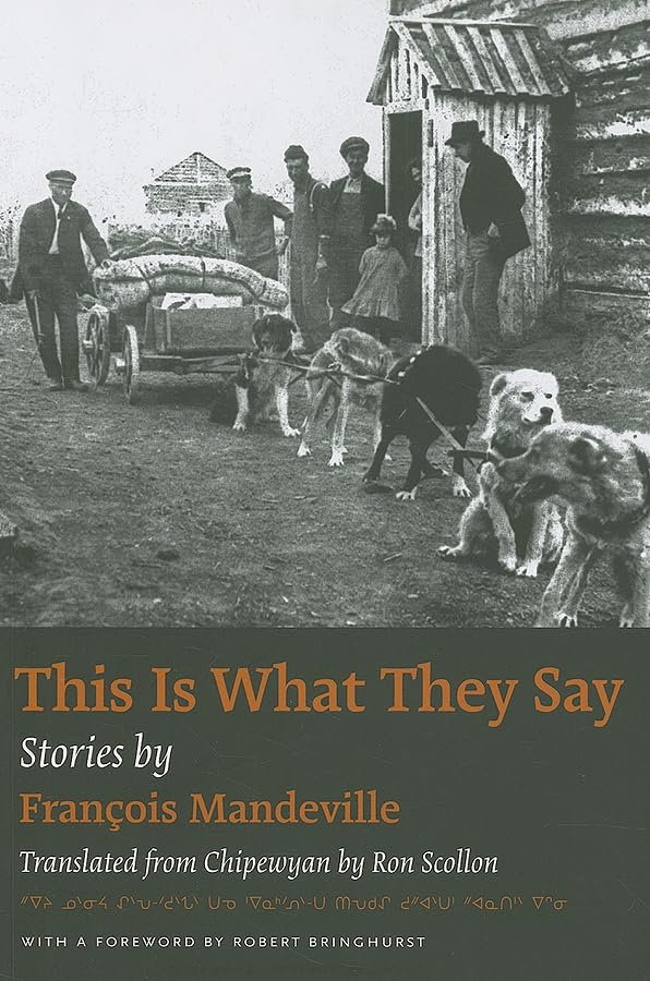 This Is What They Say: Stories,Used