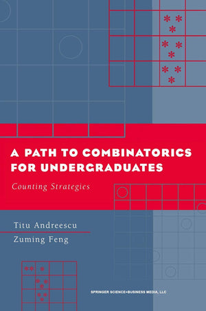 A Path to Combinatorics for Undergraduates: Counting Strategies,Used