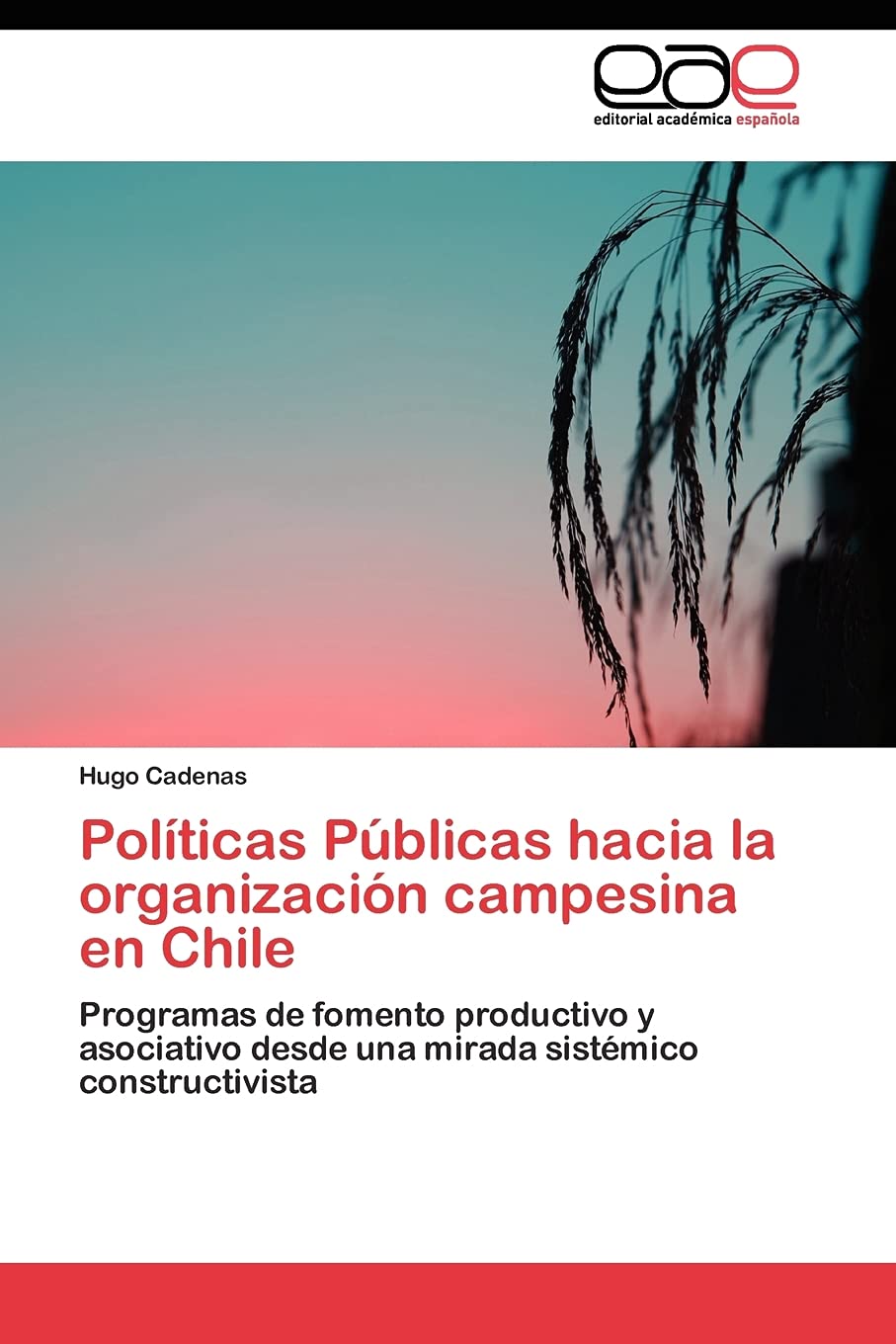 Polticas Pblicas hacia la organizacin campesina en Chile: Programas de fomento productivo y asociativo desde una mirada si,Used