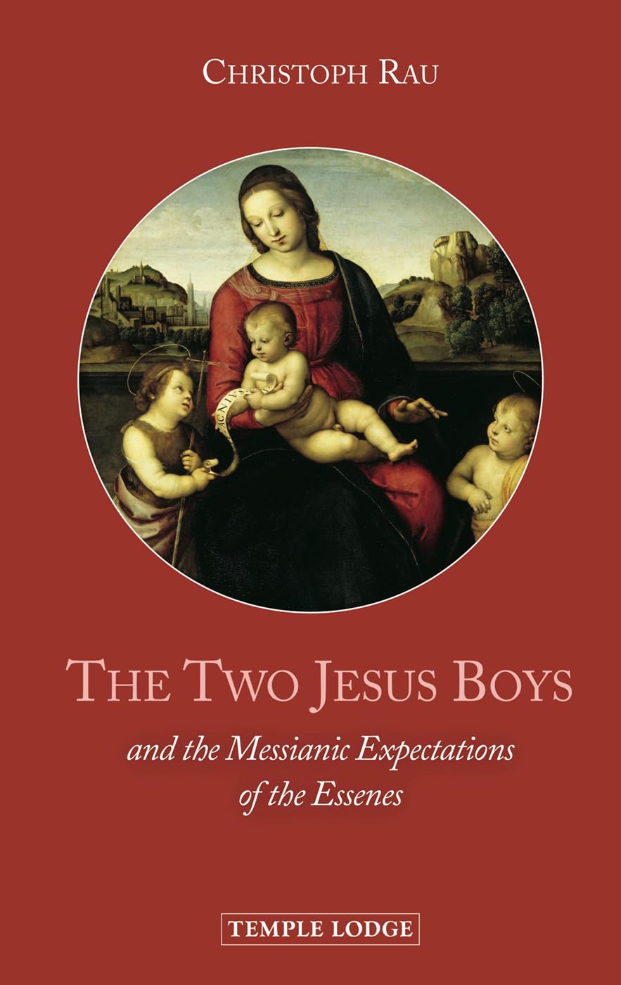 The Two Jesus Boys: And the Messianic Expectations of the Essenes,New