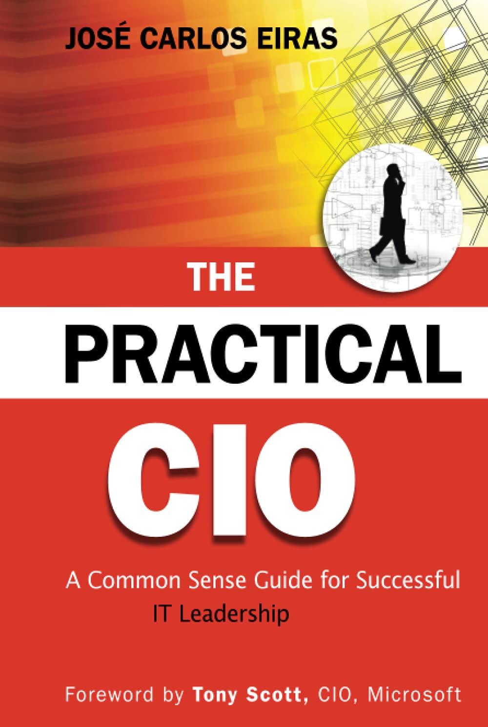 The Practical CIO: A Common Sense Guide for Successful IT Leadership,Used